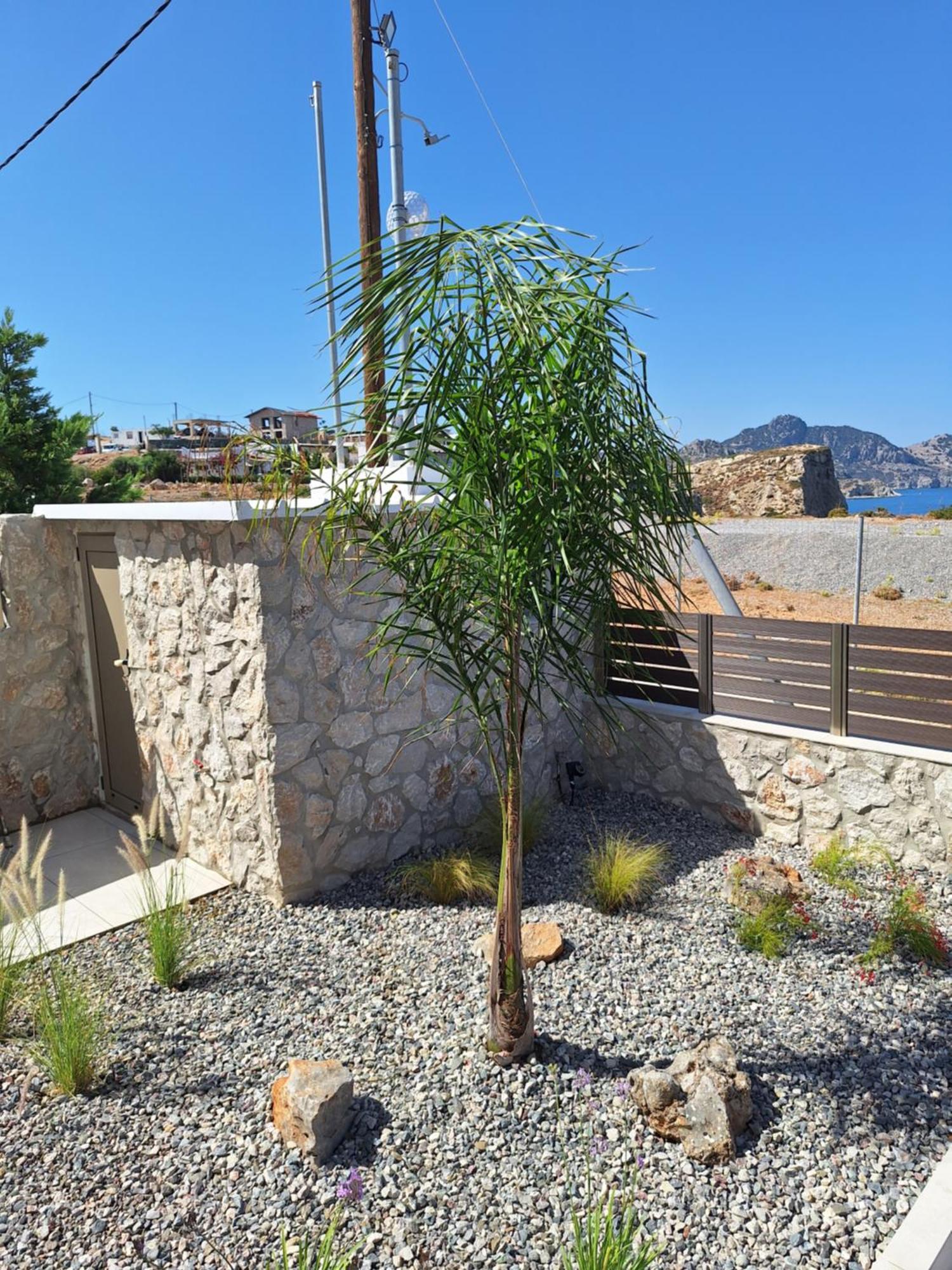 ארכאנגלוס Villa Pava-Sea View Brand New 2024 Villa מראה חיצוני תמונה